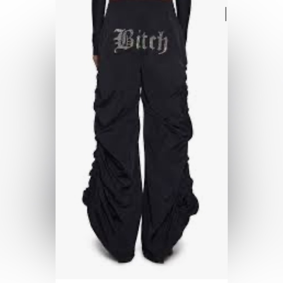 POSTER GIRL Pants - Dolls Kill Poster Girl B!tch Not Nice Wide Leg Nylon Pants RARE NWT small